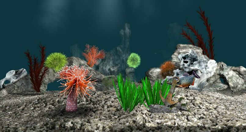 Станислав Иванов | Санкт-Петербург