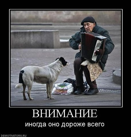 №34, Иван Вениаминович, Снегиревка №34, Иван Вениаминович, Снегиревка