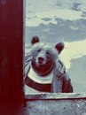 Фотография Чигура Рауля
