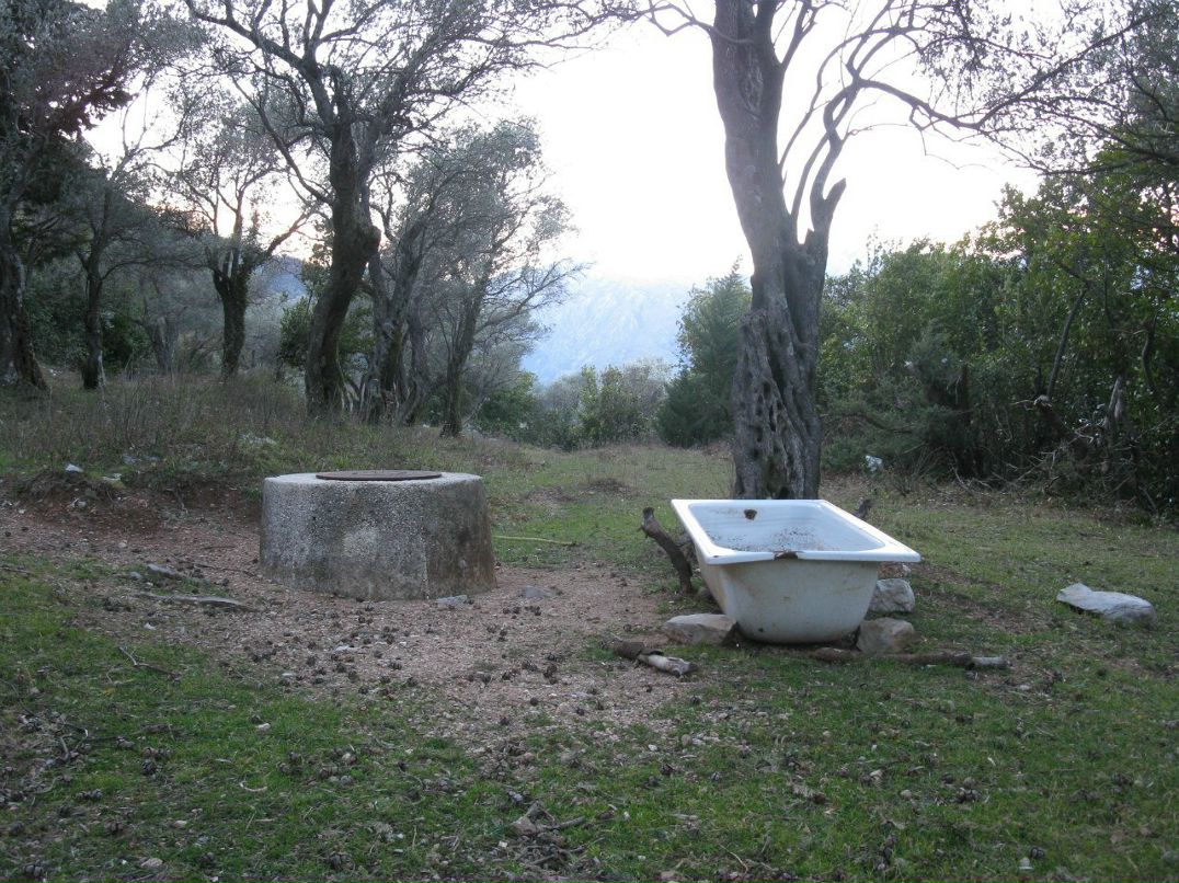 Олег Данилюк | Санкт-Петербург