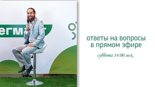 Можно ли людей мыть шампунем для животных
