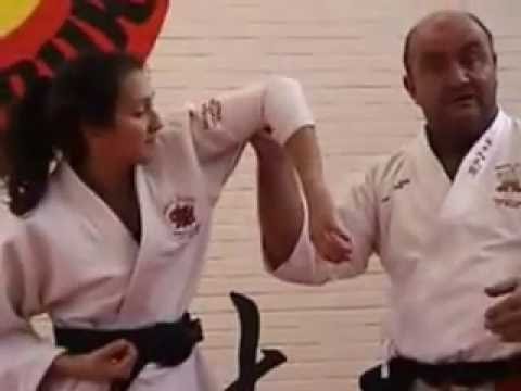 Goshin Ju Jitsu The Billy Doak