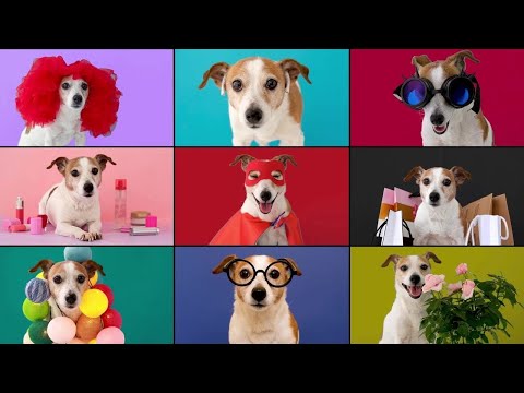 Pep Talk The Words We Never Say ( Official Video), Hey Pizza Records, Pop