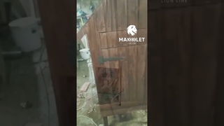 Дымонагнетатель/Отзыв/Николай г.Миллерово г.