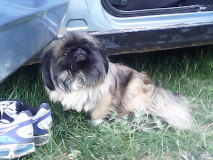 Антон Никитин | Пермь