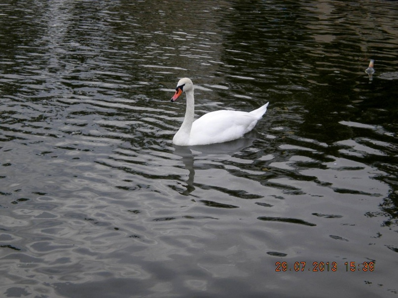 Оля Игнатьева | Можга