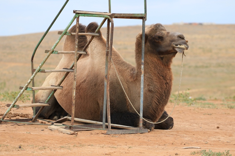 Максим Тарасенко ~STRANGER~ ©©©© | Москва