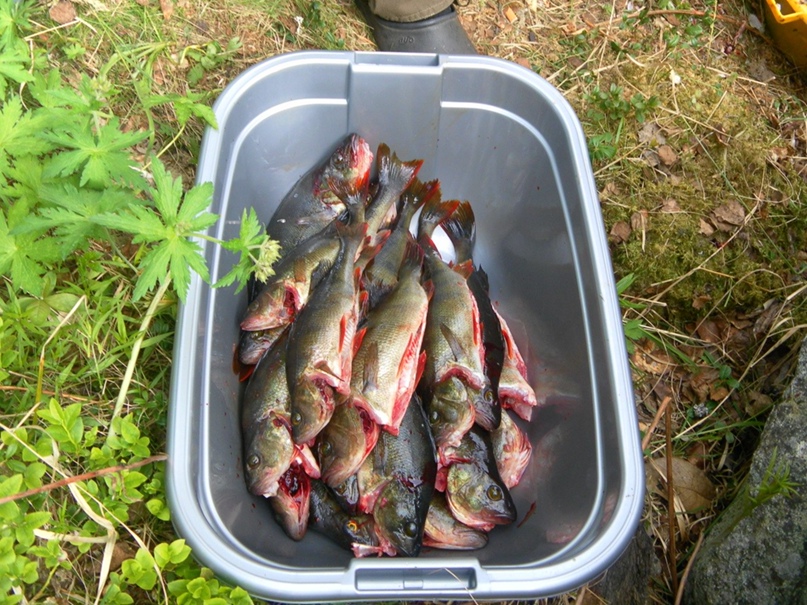 Максим Тютрюмов | Санкт-Петербург