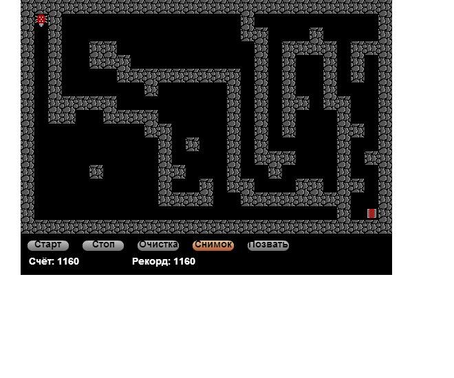 Никита Белкин | Тюмень