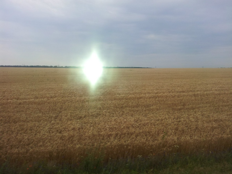 Александр Матвийчук snj | Днепр (Днепропетровск)