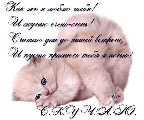 Ольга Журавель | Любашевка