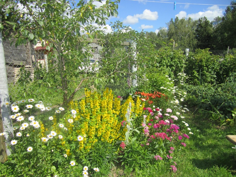 Виталий Ермолин | Зеленоград