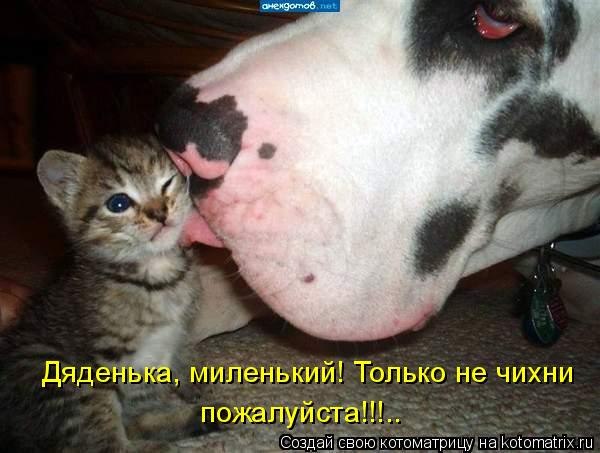 Татьяна Совершенная | Волгоград