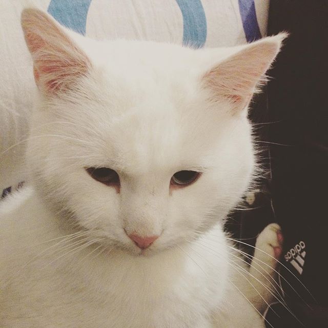 Ваня Баранов | Киев