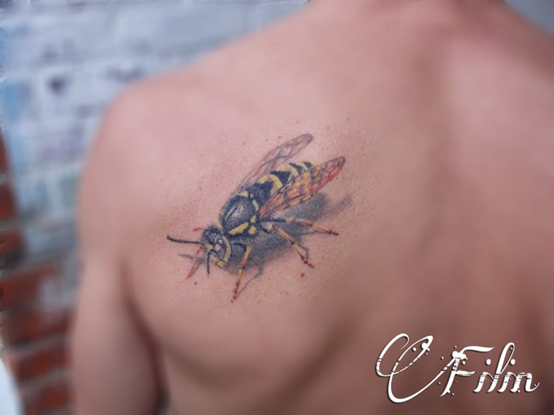 Дмитрий Карчевский | Гомель