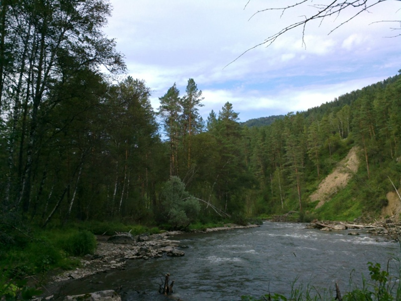 Сергей Лукьянчиков | Калининград