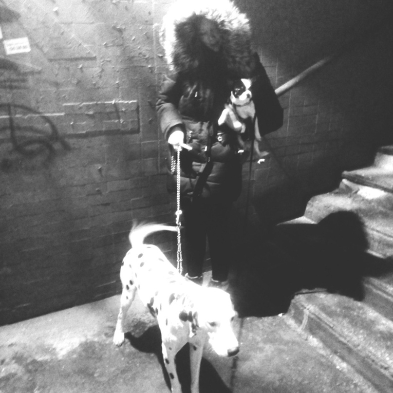 Арина Никифорова |