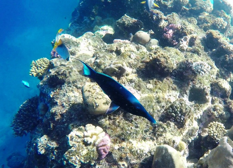 Игорь Загребельный | Выборг