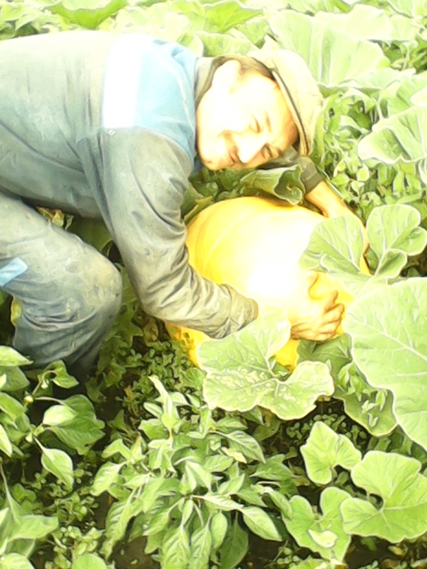 Александр Никифоров | Чебоксары