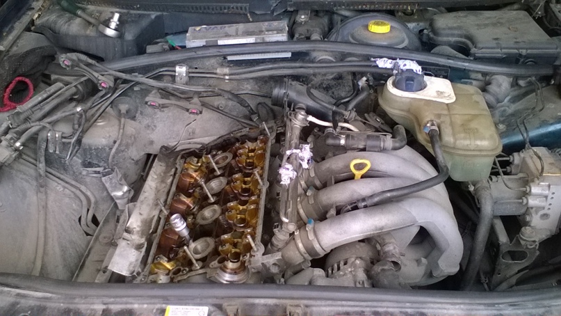 Евгений Кузьменко Kuzya | Ярославль