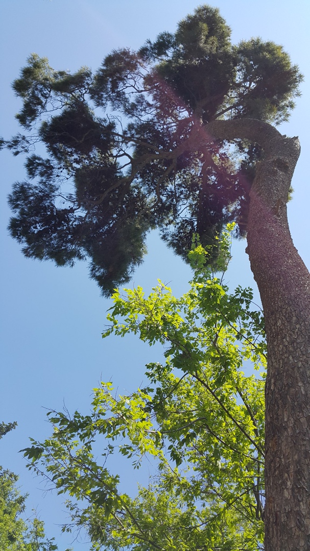 Tatiana Belova | Москва