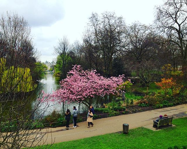 Маргарита Вашко | London