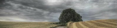 Андрей Кирилов | Сумы
