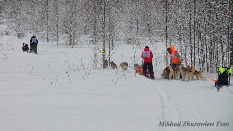 Михаил Журавлёв | Петрозаводск