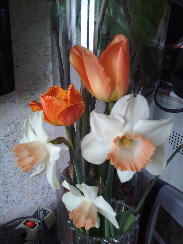 Ира Ефимова | Санкт-Петербург