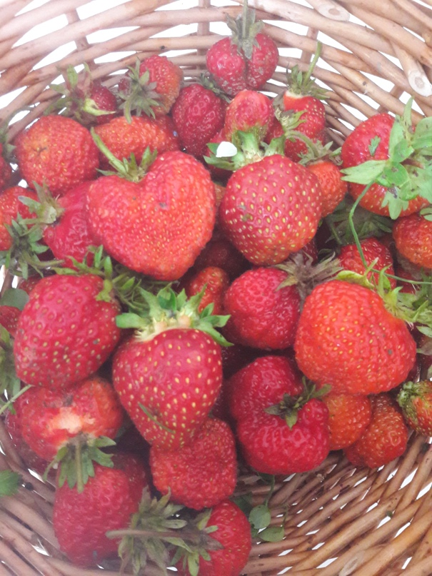 Екатерина Долинина | Буй