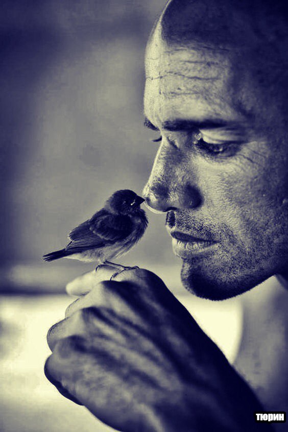 Максим Тюрин | Тула