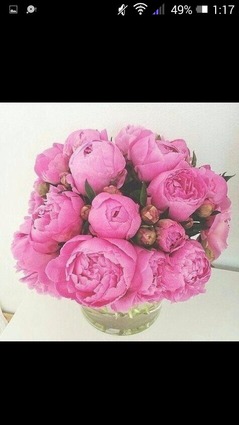 Марина Полежаева | Омск