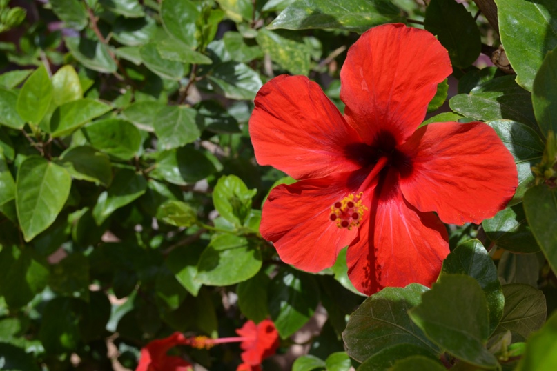 Ирина Евдокимова | Екатеринбург