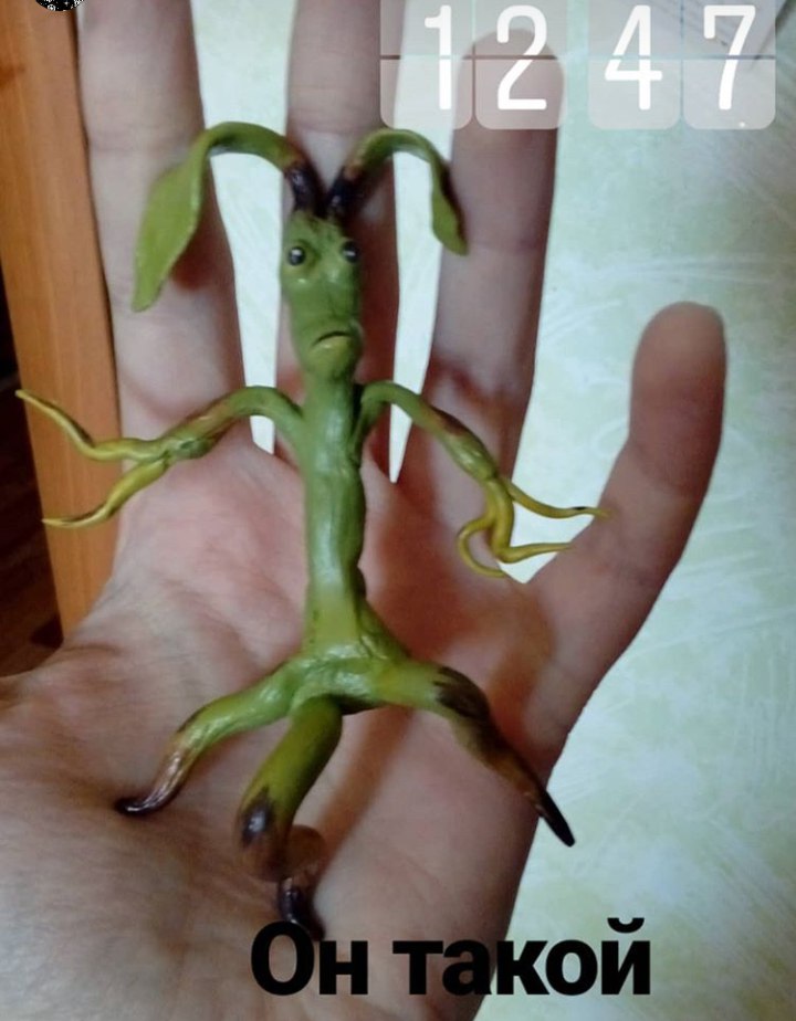 Дарья Дьячкова | Екатеринбург