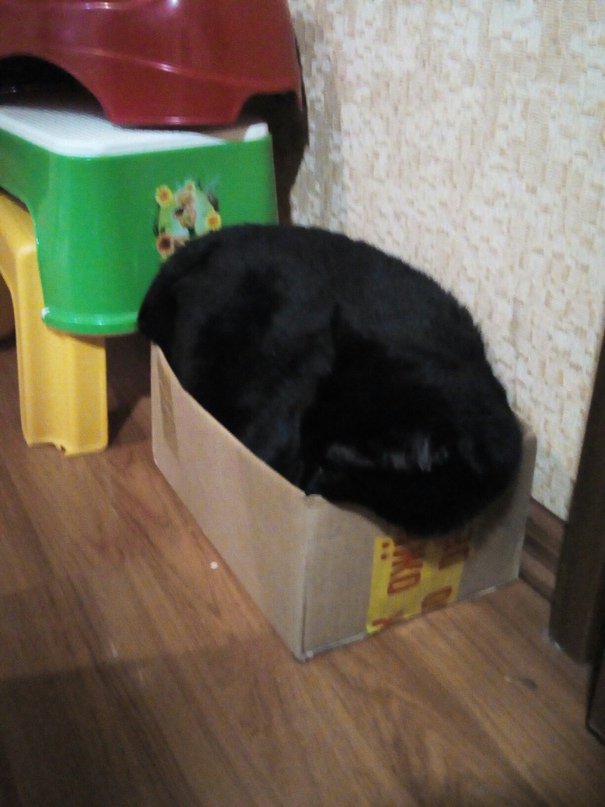 Юлия Колесова | Сыктывкар