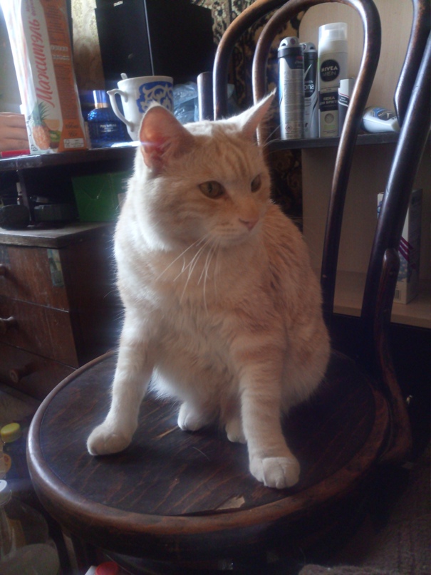 Алексей Горбачёв | Иркутск