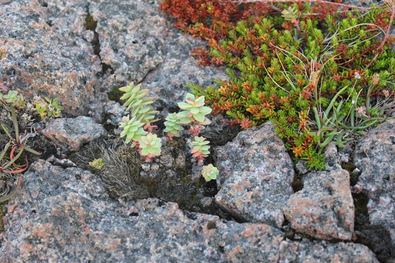 Юлия Титаренко ღ♥ღ | Санкт-Петербург