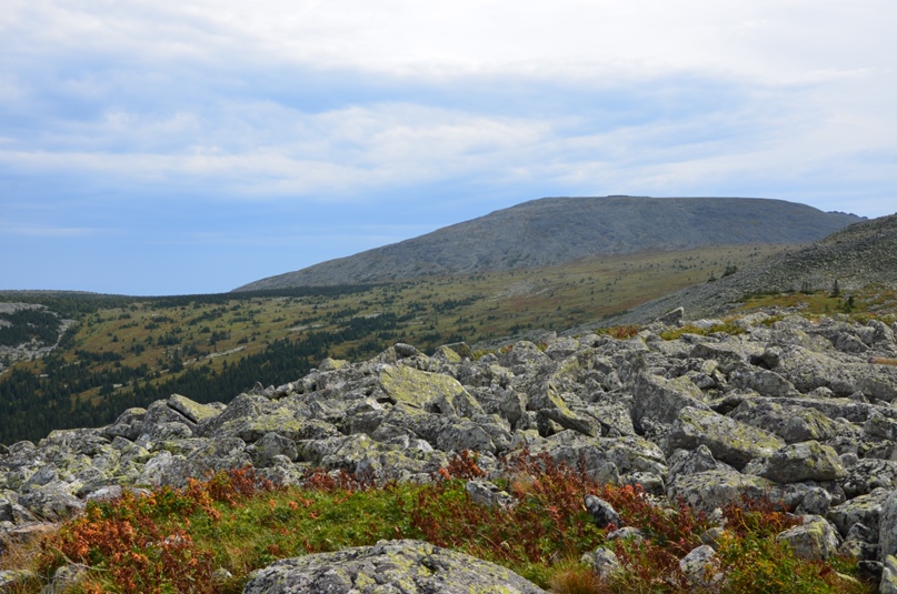 Тимур Юнусов | Москва