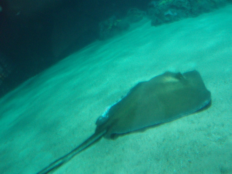 Татьяна Ткачёва | Харьков