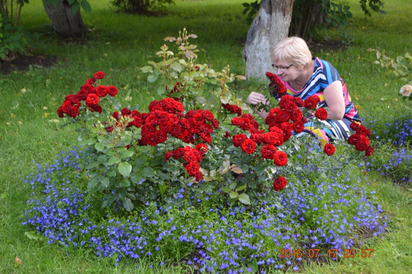 Татьяна Тихонова | Лукоянов