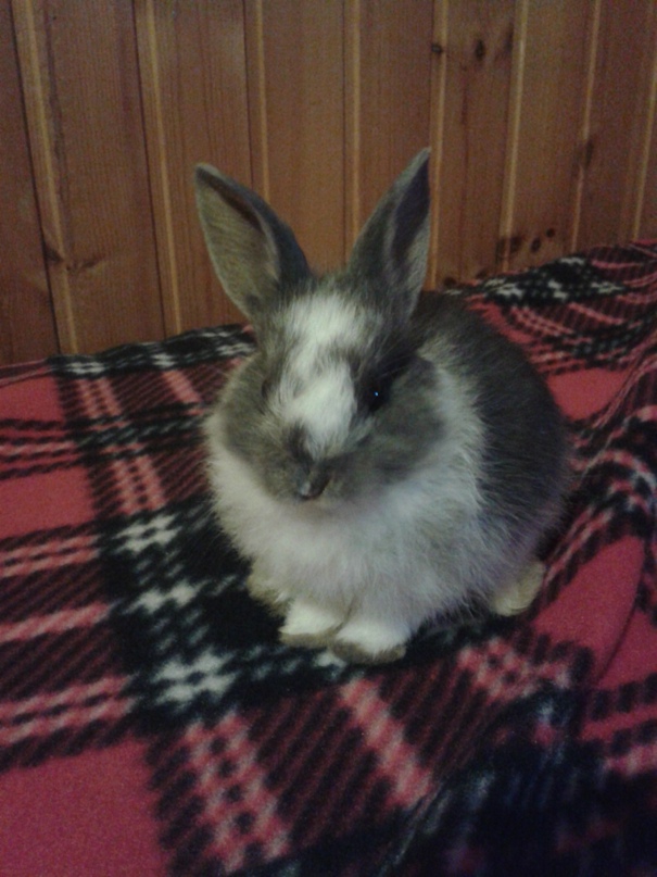 Олег Солдатов | Дербент