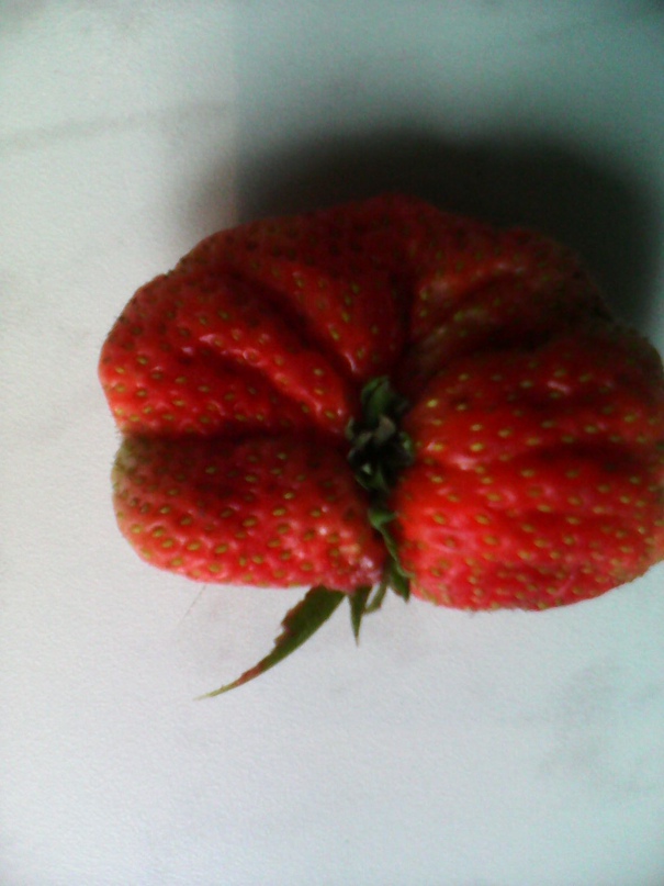 Анна Соколова | Сонково