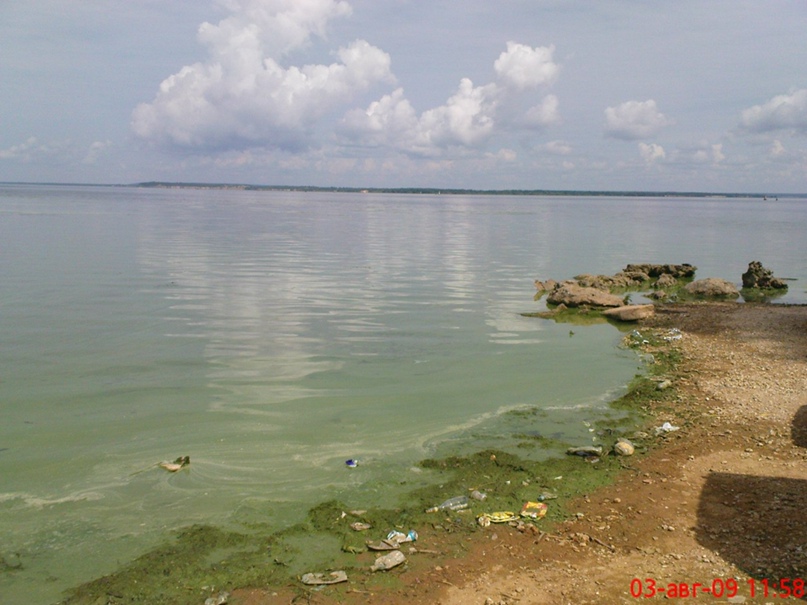 Константин Дмитриев | Чебоксары