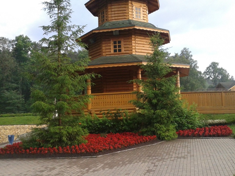 Алекс Кузьмин | Саранск