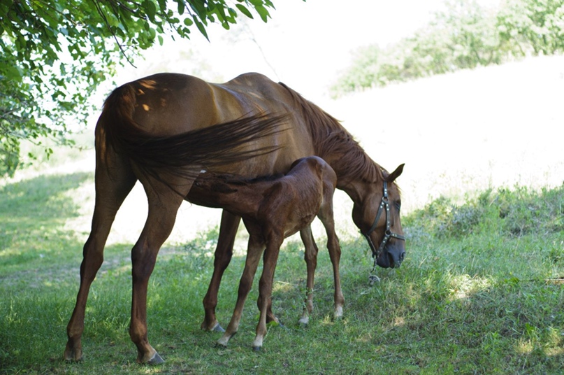 Максим Зенин | Днепр (Днепропетровск)