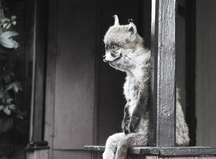 Сергей Каштанов Александрович | Смоленск