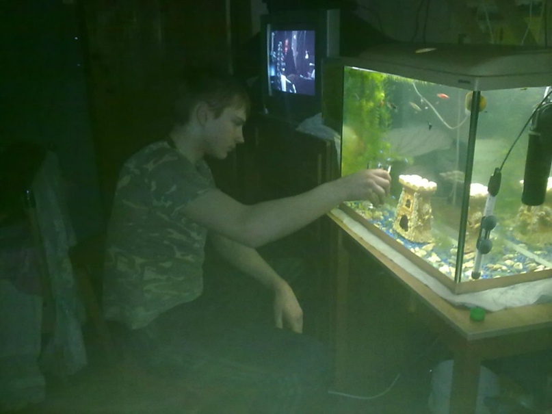 Михаил Феофанов | Медведь