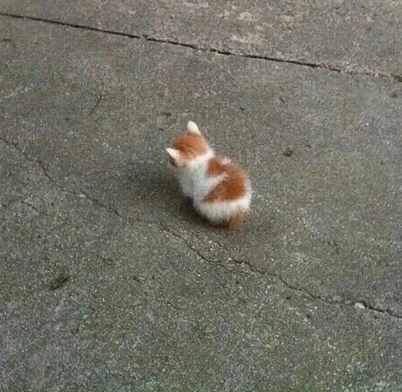 Аня Дёмина | Москва