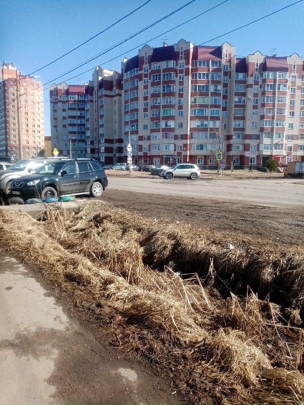 Наталья Савкина | Бабаево