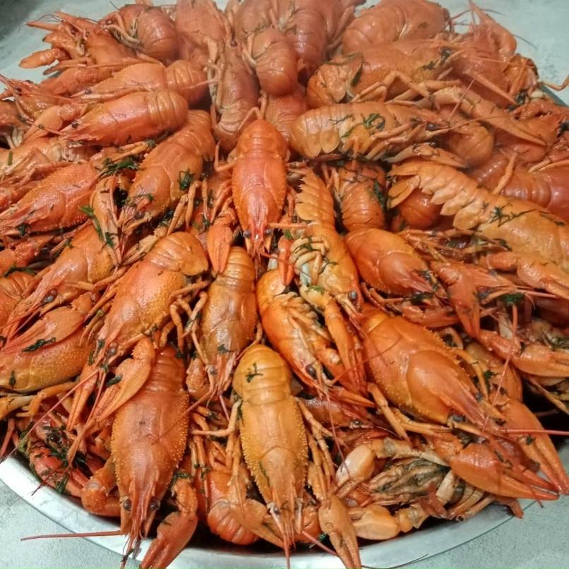 Наталья Павлова | Саратов